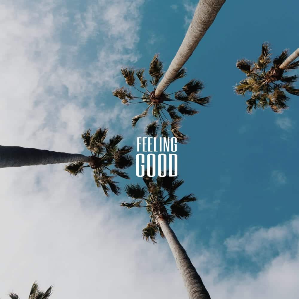 Adalid Drops New Single “Feeling Good” | @whoisadalid @trackstarz