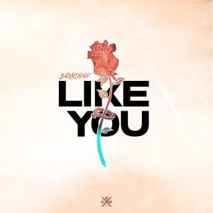 Brvndon P Joins RMG Amplify and Releases New Single “Like You” | @iambrvndonp @rmgtweets @trackstarz
