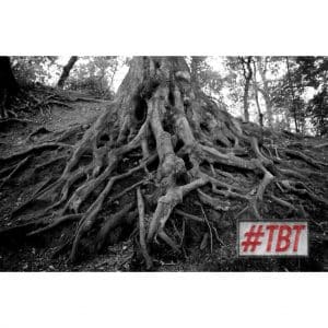 Rooted #TBT | Throwback Theology | @mouthpi3ce @damo_seayn3d @trackstarz