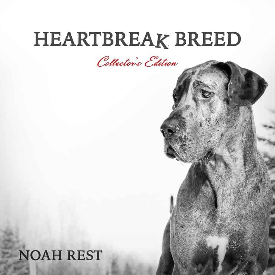 Noah Rest Is Working To Bring Awareness To The Rise In Suicides Through His Song “Heartbreak Breed” |
