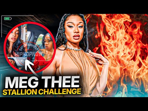I Have a HUGE PROBLEM with the Meg Thee Stallion Challenge