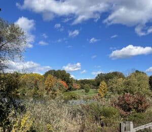 Jersey jack | just look up